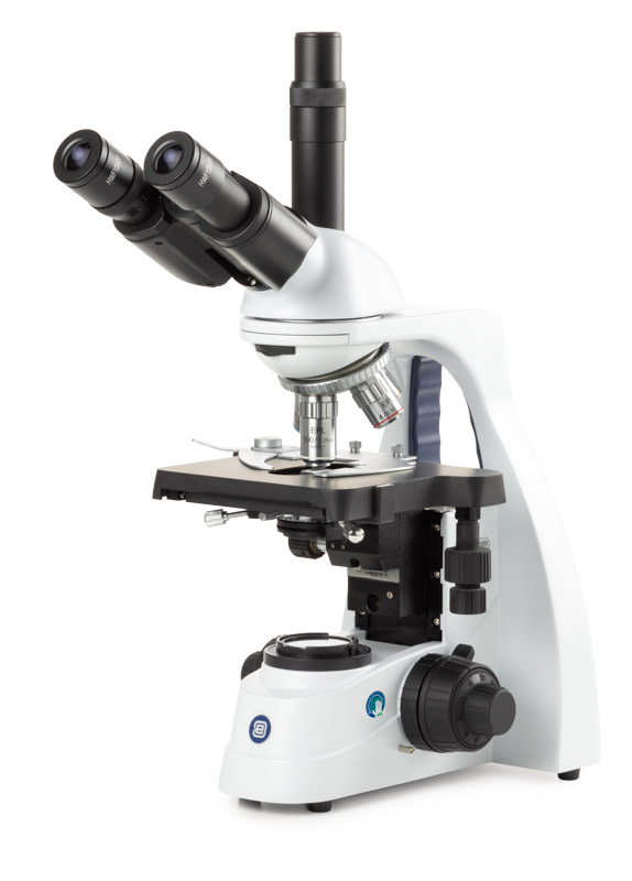 BS.1153-EPL microscope