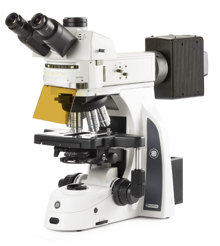 DX.3153-APLi.HAL microscope