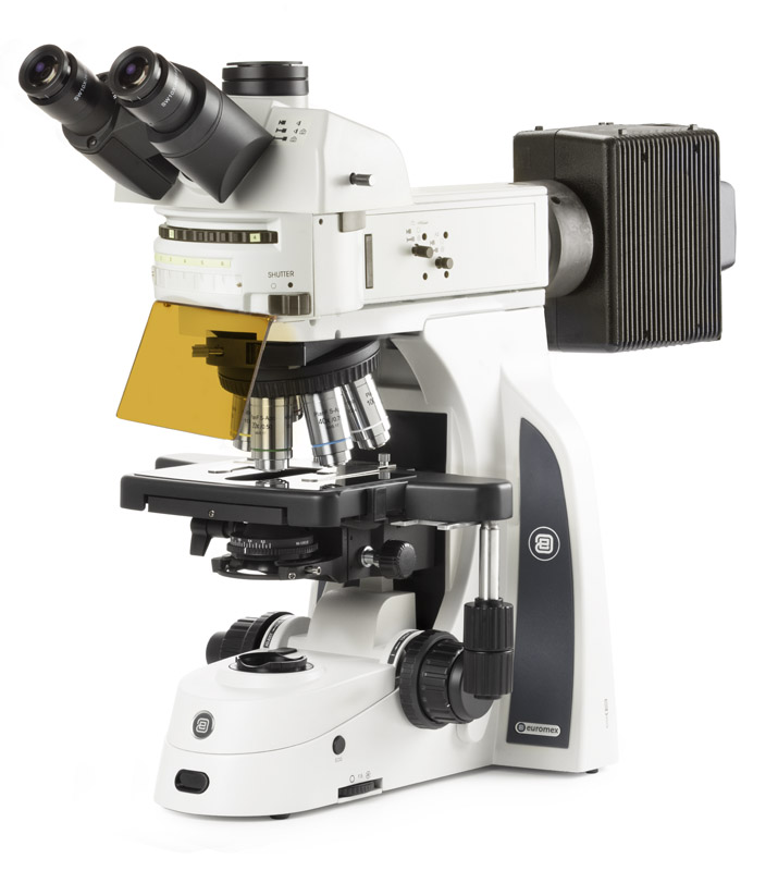 DX.3153-APLi microscope