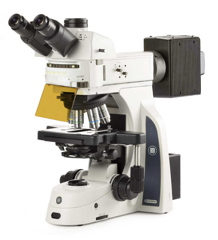 DX.3153-PLi.HAL microscope