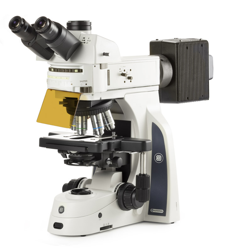 DX.3153-PLi microscope