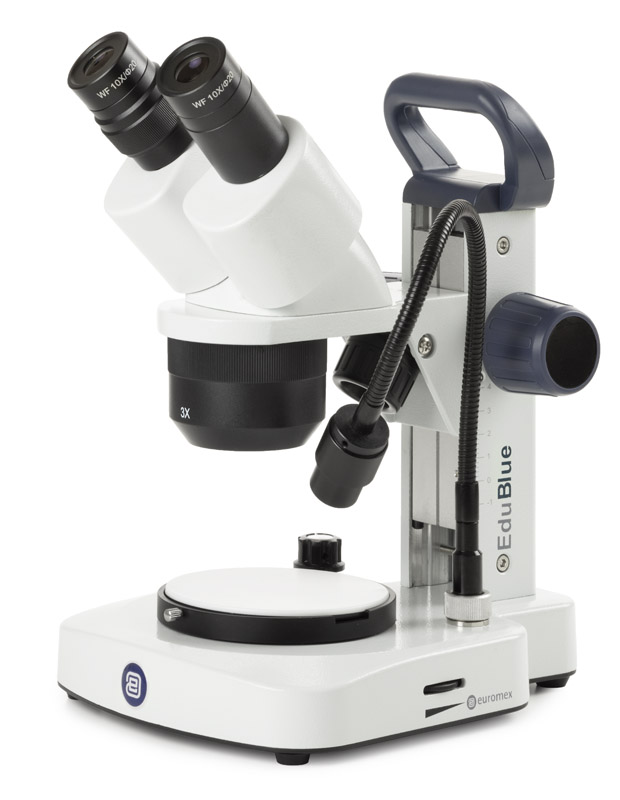 ED.1302-EVO microscope