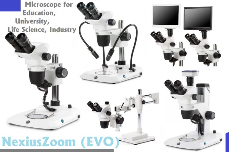 NexiusZoom (EVO) – Microscope for Education / University / Life Science / Industry