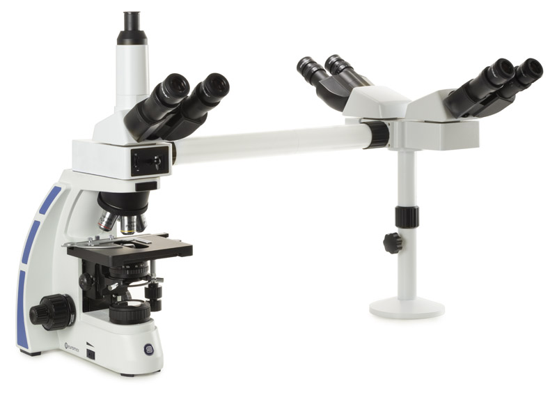 OX.5603 microscope
