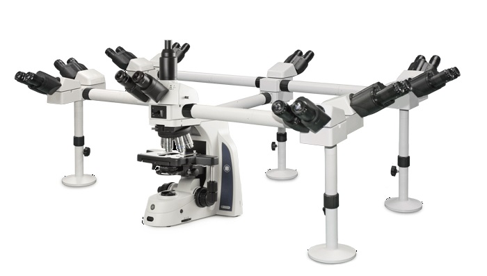 multihead microscope
