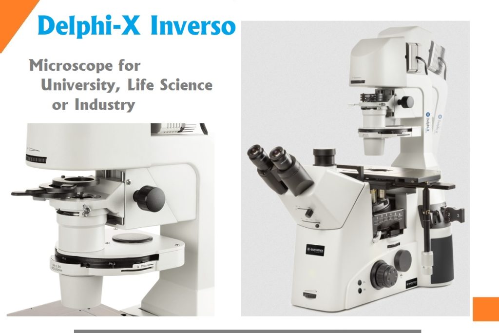 Delphi-X Inverso microscope
