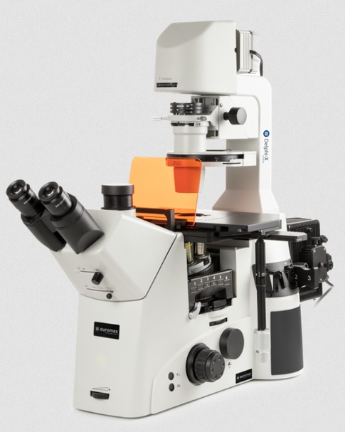 Delphi-X Inverso fluorescence microscope