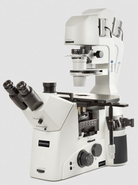 Delphi-X Inverso microscope