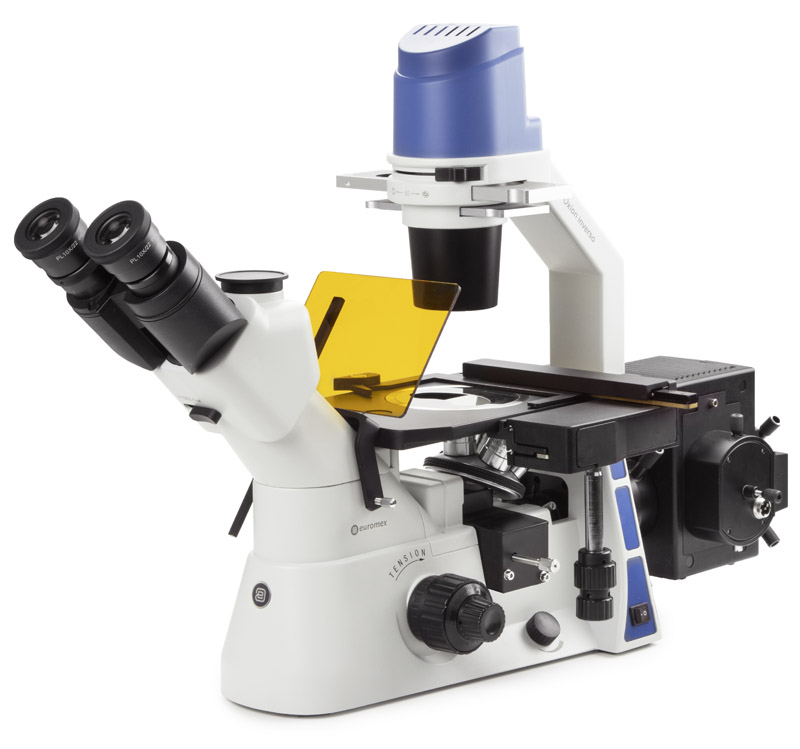 OX.2453-PLPHF inverted mikroskop