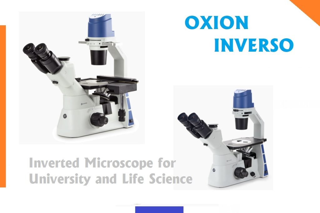 oxion inverso microscope