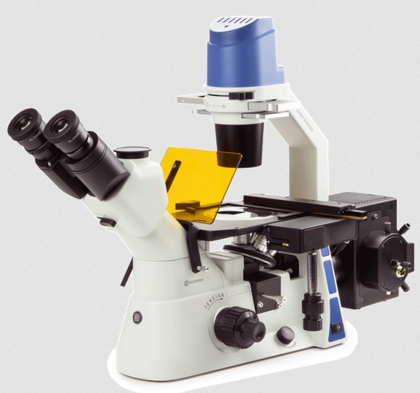 oxion inverso mikroskop