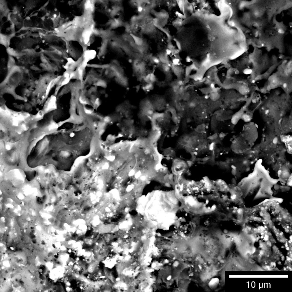 Adhesion-of-the-hermal-spray-coating-based-on-hard-particles-mixed-with-metallic-matrix-imaged-at-30-keV-with-BSE-detector