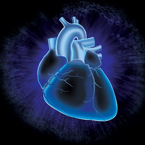 Cardiovascular research